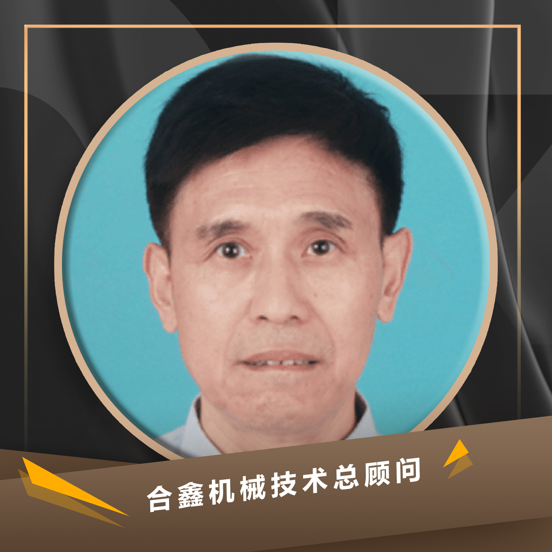 朱中稳 合鑫机械技术总顾问